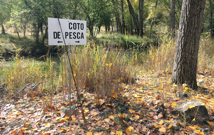 Gastos suntuarios - cotos caza y pesca